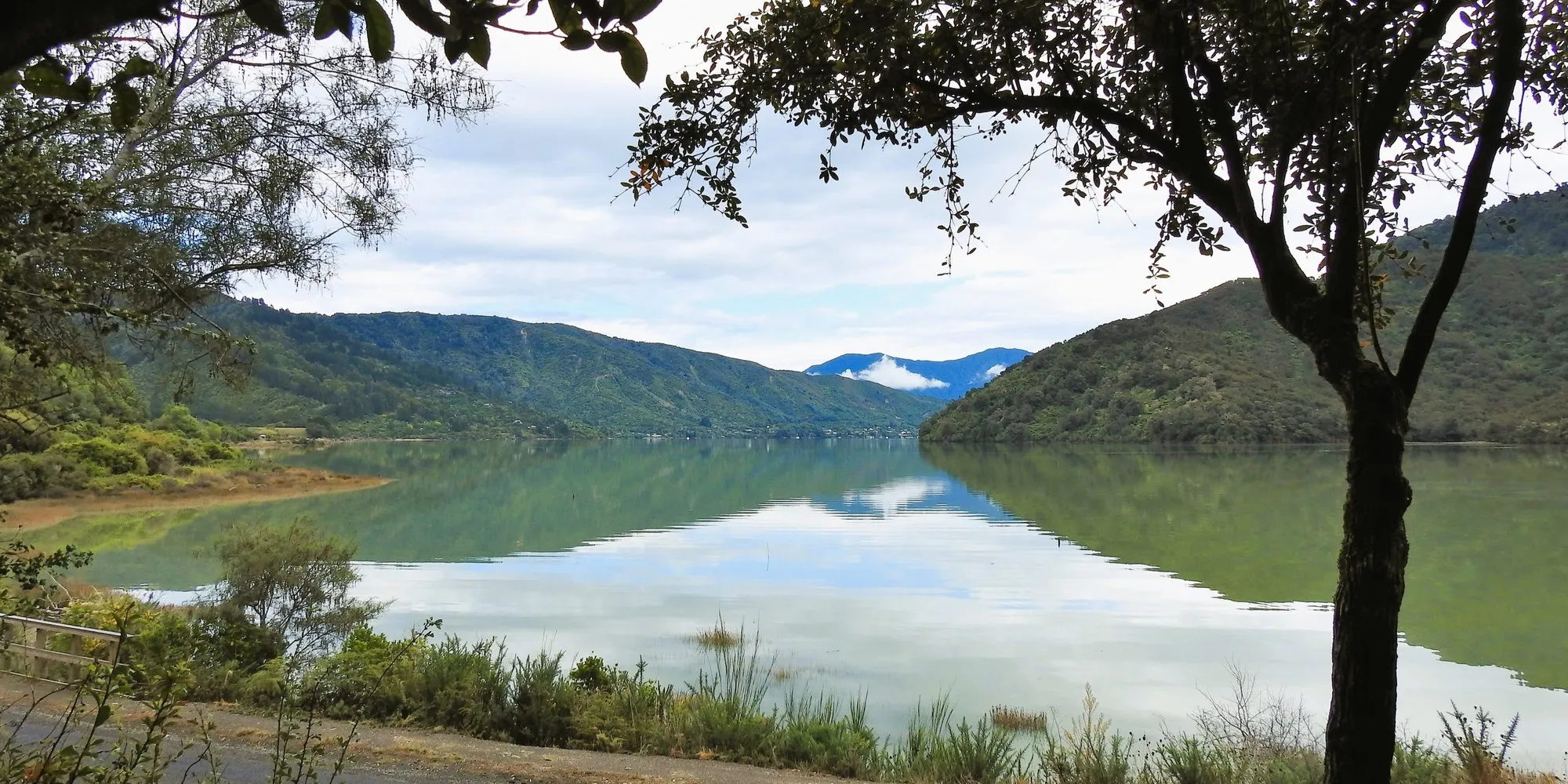 The calm green water of the Sound looking towards Cullen Point, hills and native bush all around