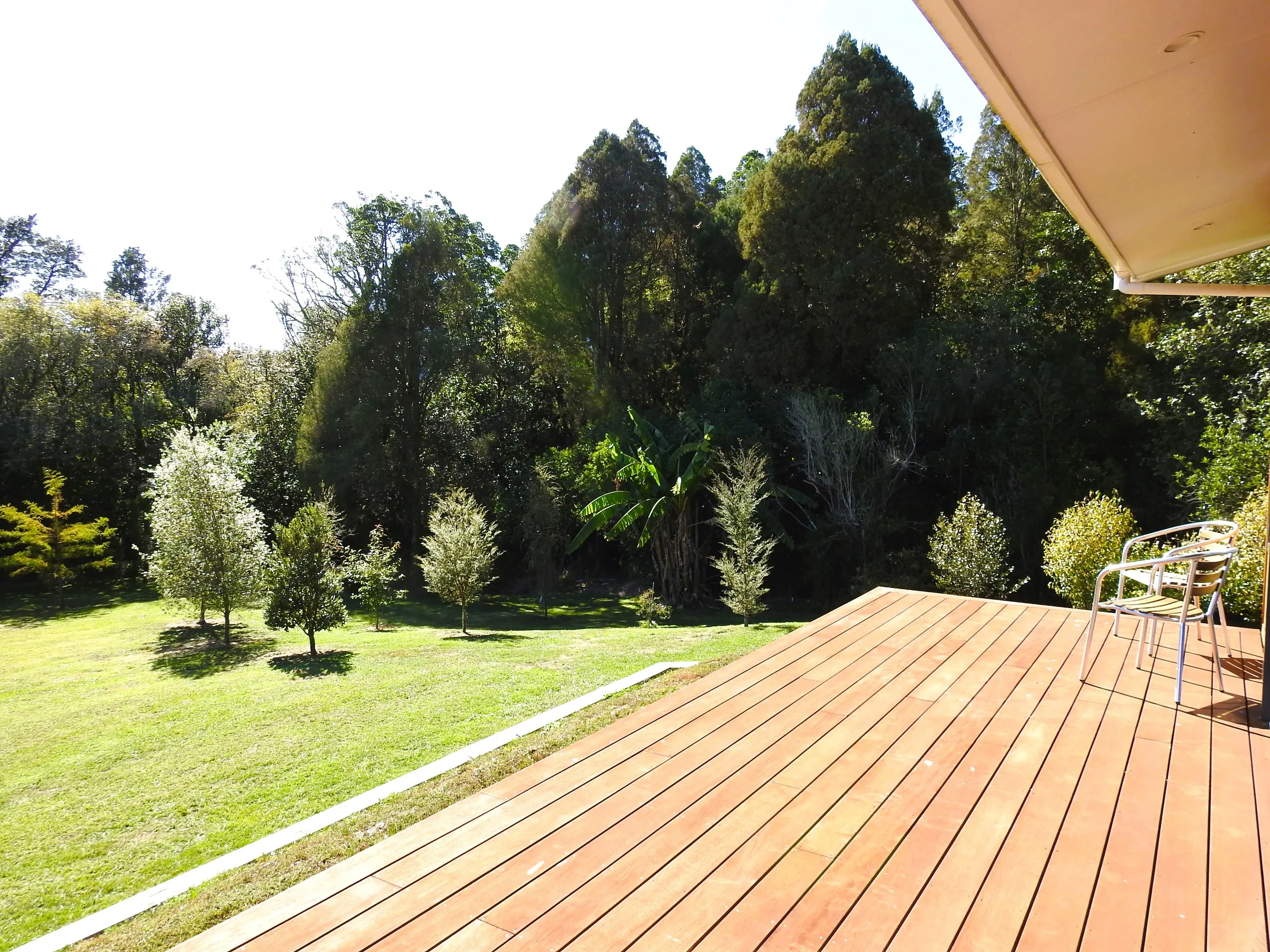 The view of native forest from the cabin’s front deck