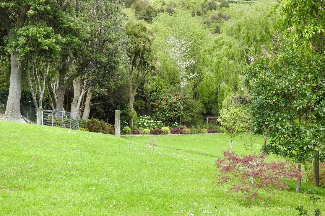 The wide front lawn running to the native bush edge