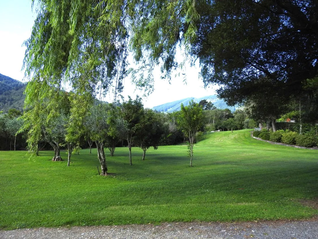 The lawns and grounds running down toward the water, a willow and the bush hills beyond