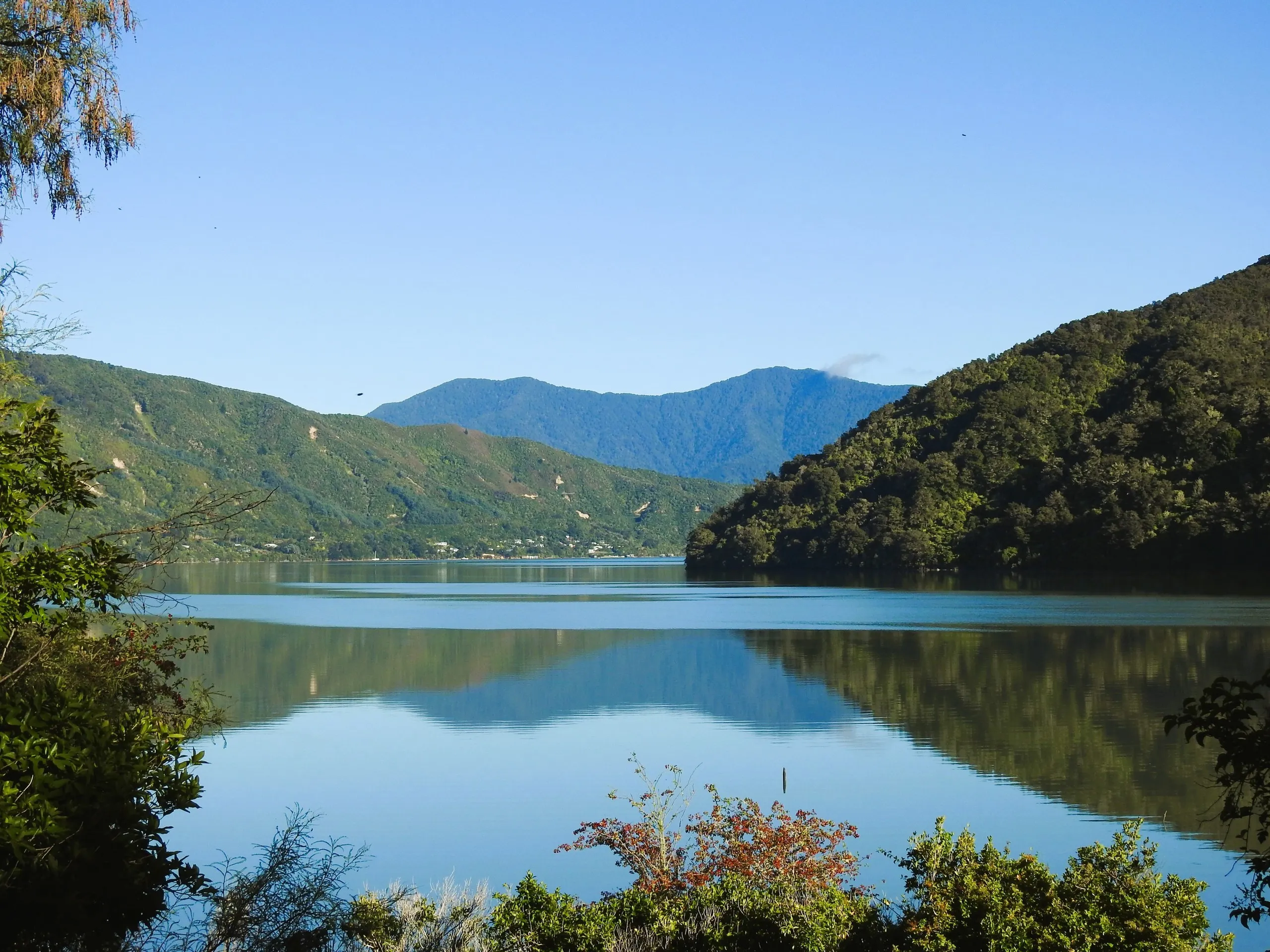 The view from the cabin in March — mirror-still water, native bush ridges and distant ranges