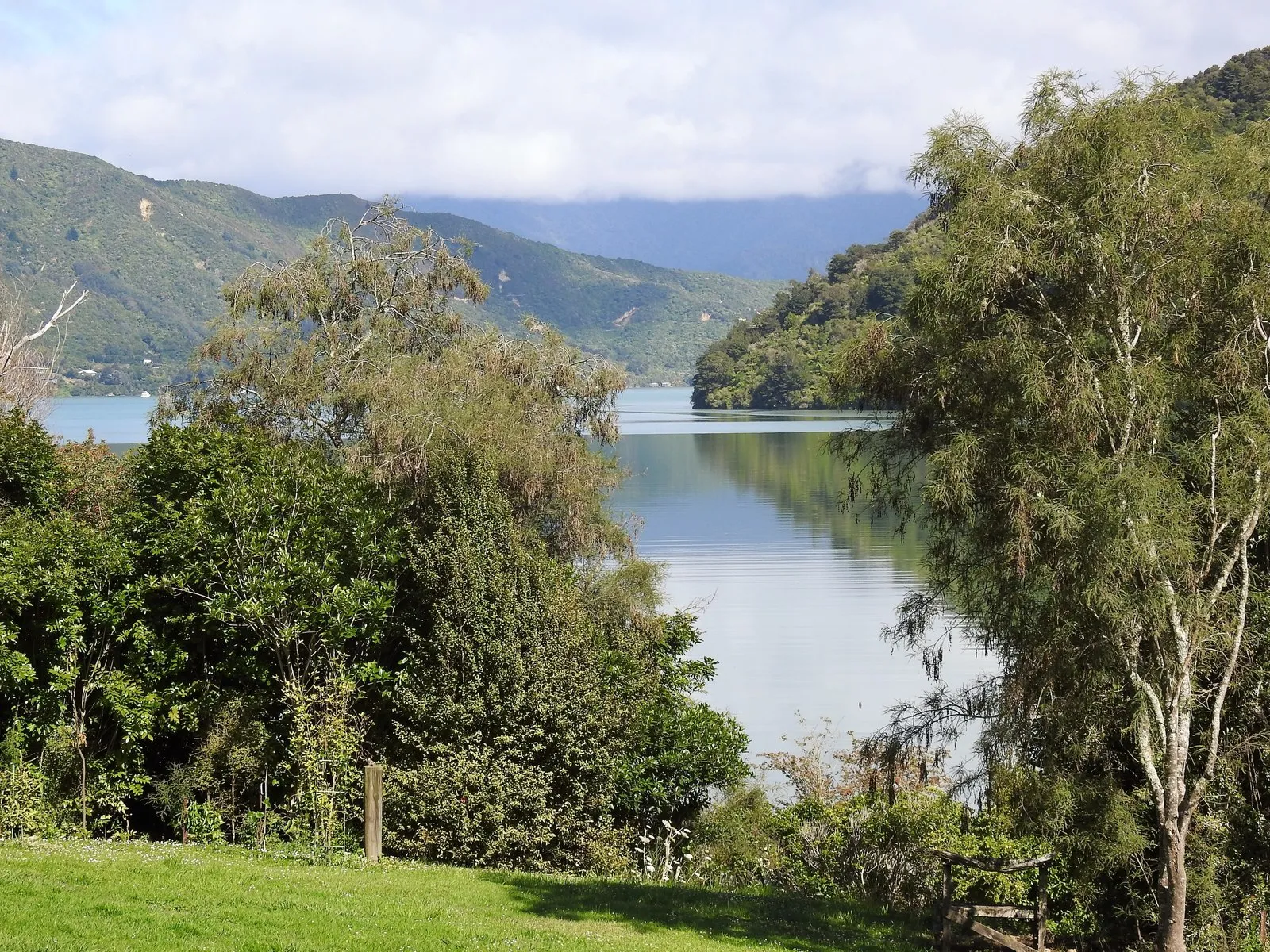 The calm green water of the Sound just across the road from the cabin, framed by native bush and hills