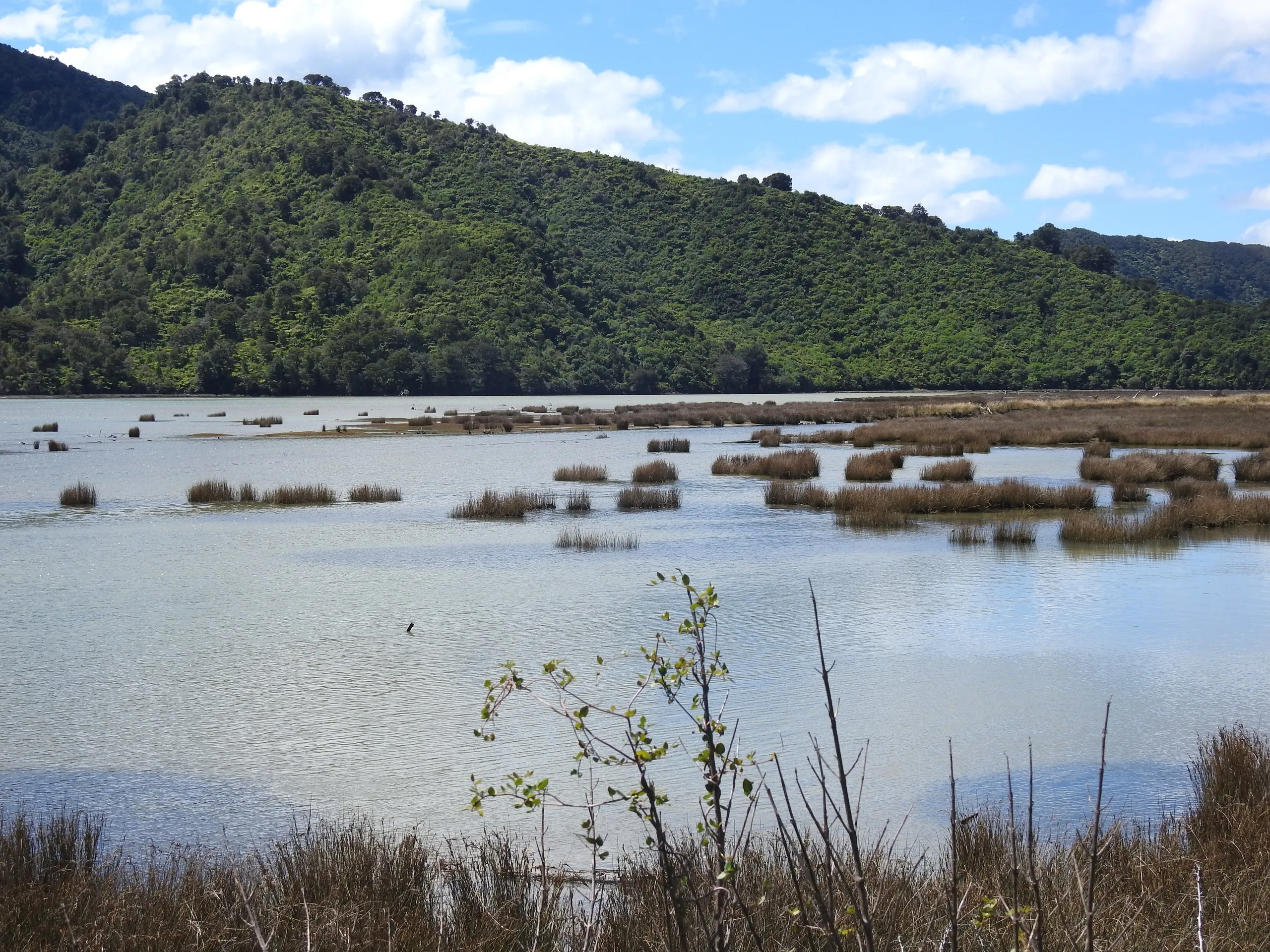 The calm blue water of the Sound, mirror-still and ringed by native bush